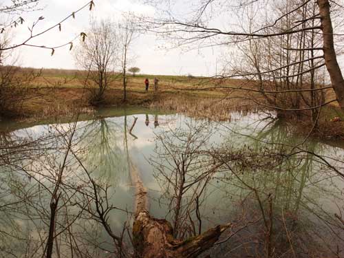 Foto Balta mare de la padure (c) Petru Goja